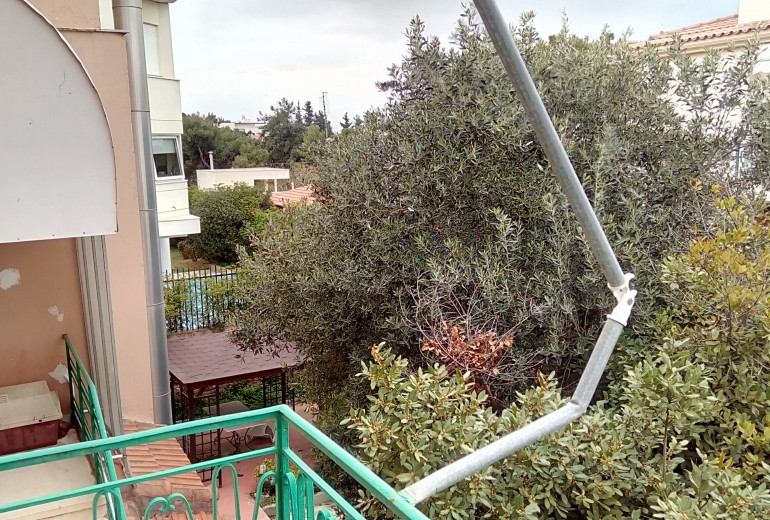 ΚΗΠΟΣ ΦΙΛΟΘΕΗ